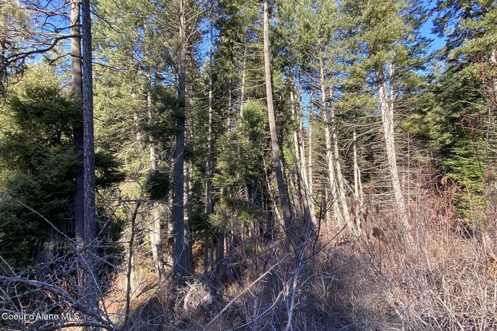 150 Castle Crest Hope ID 83836