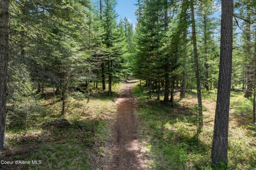 335 Tamarack Lane Sagle ID 83860
