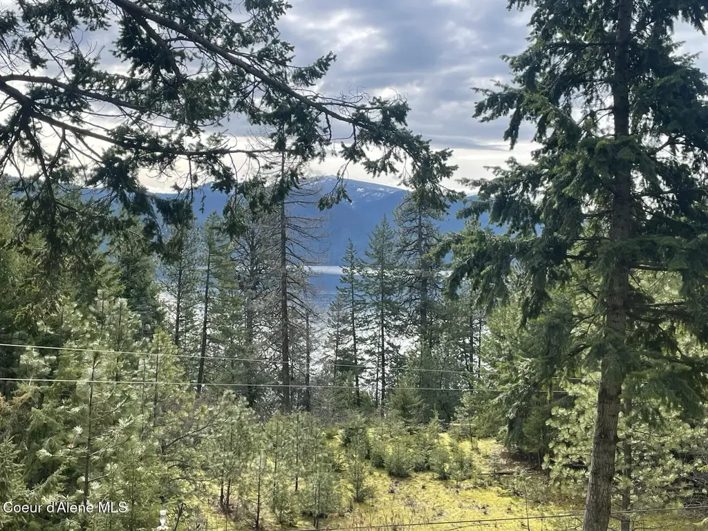 39 Pearl Creek Road Sagle ID 83860