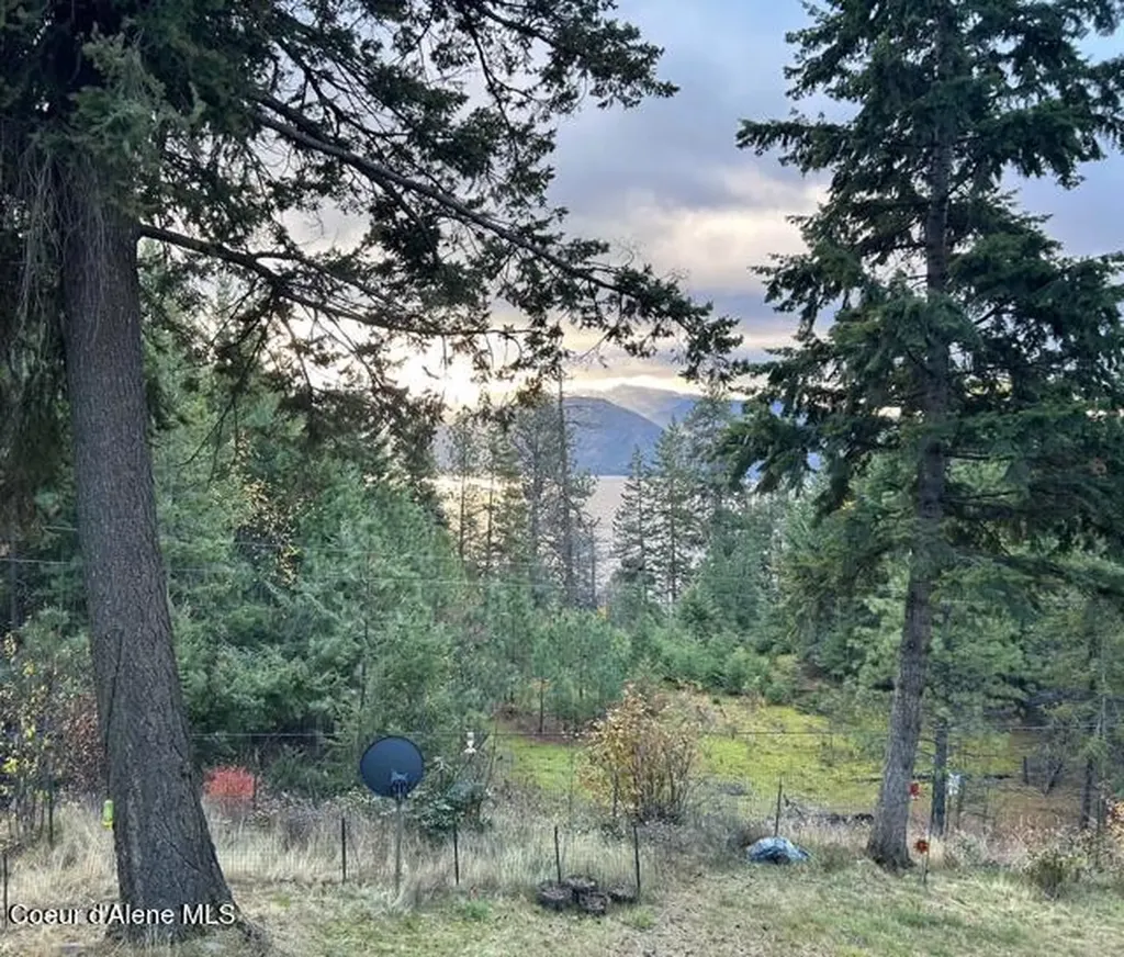 39 Pearl Creek Road Sagle ID 83860