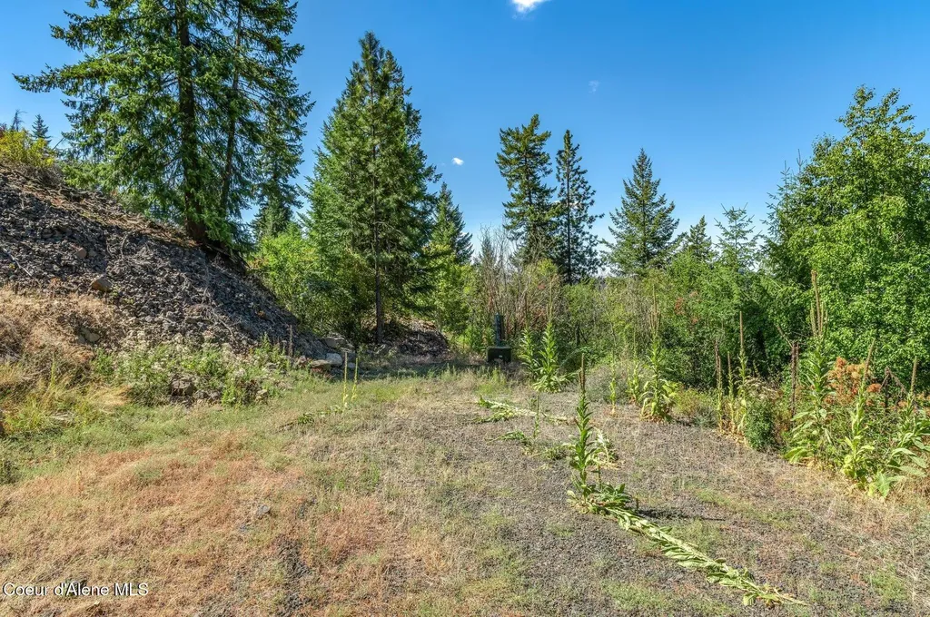 19695 S Headlands Drive Harrison ID 83833