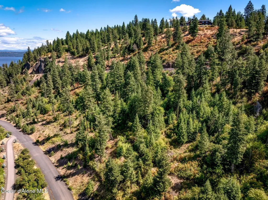 19695 S Headlands Drive Harrison ID 83833