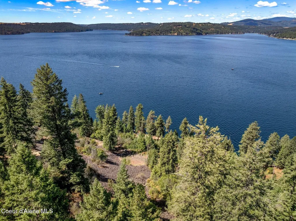19695 S Headlands Drive Harrison ID 83833