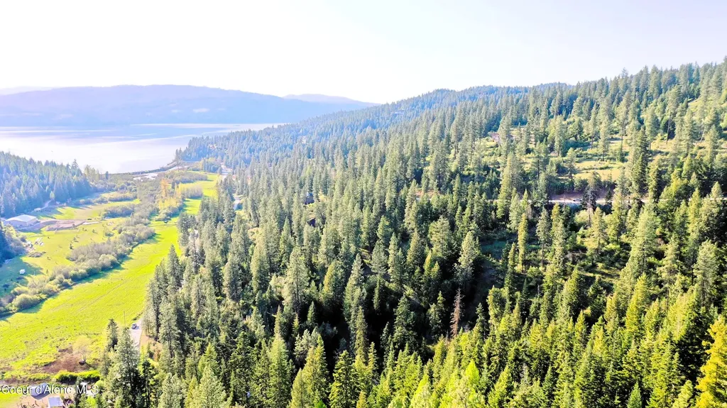 Nka Deer Road Harrison ID 83833