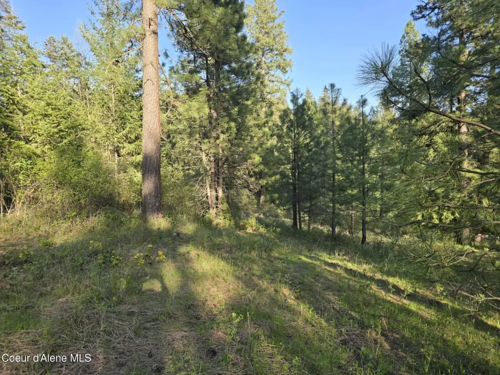 Nka Deer Road Harrison ID 83833