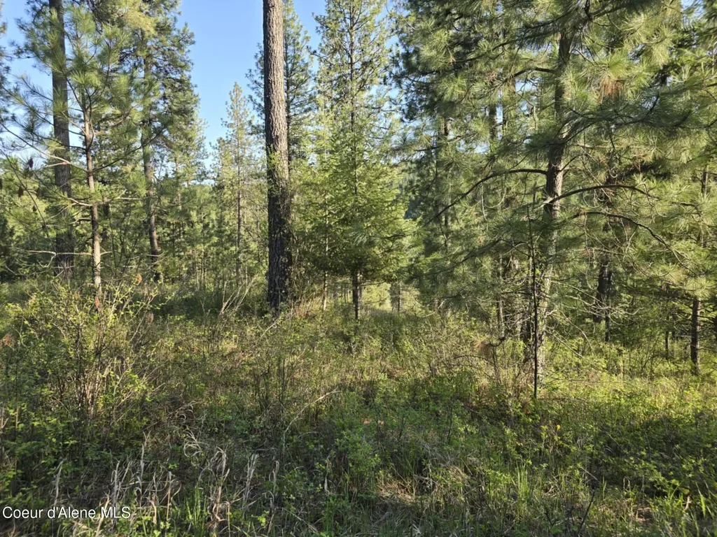 Nka Deer Road Harrison ID 83833