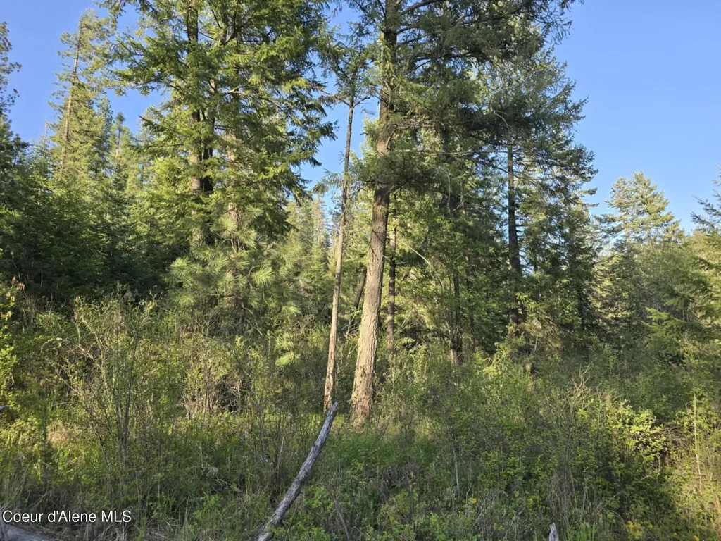Nka Deer Road Harrison ID 83833