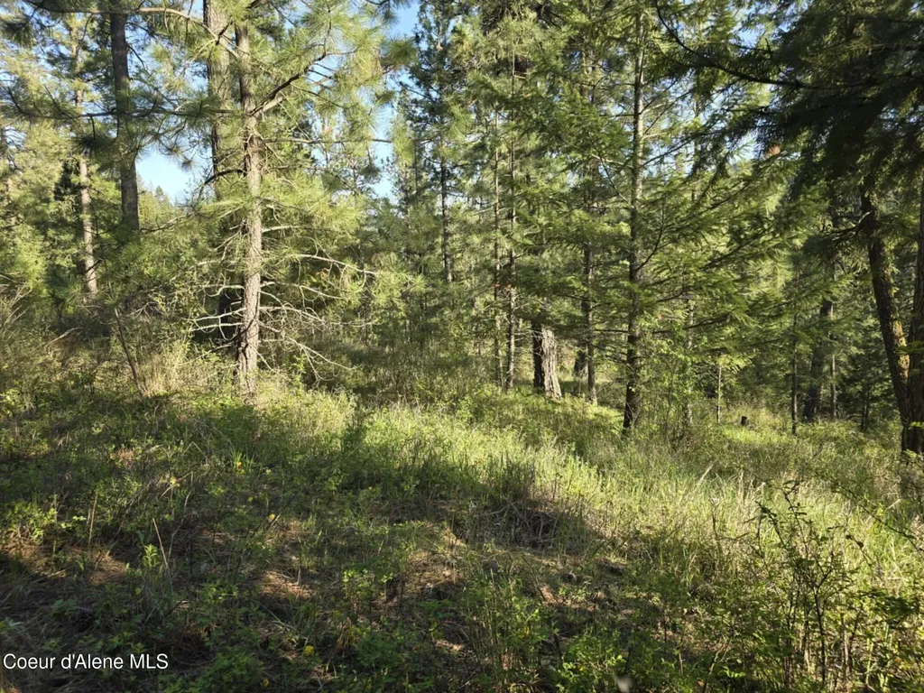 Nka Deer Road Harrison ID 83833