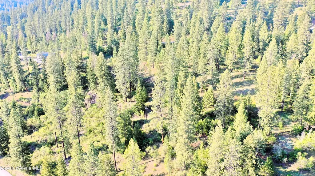 Nka Deer Road Harrison ID 83833