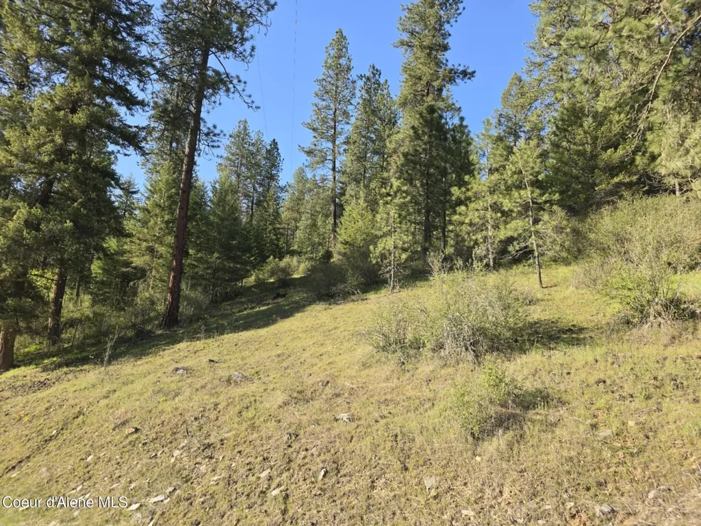 Nka Deer Road Harrison ID 83833