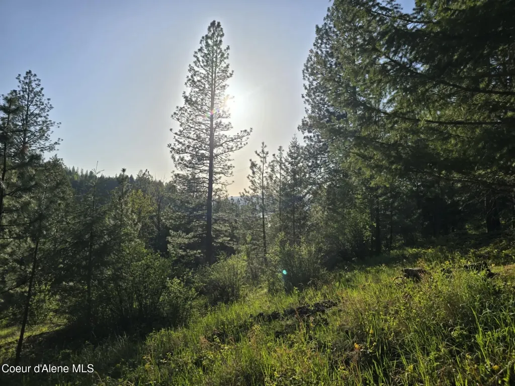 Nka Deer Road Harrison ID 83833