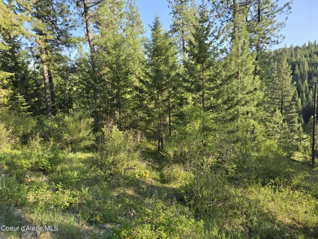 Nka Deer Road Harrison ID 83833