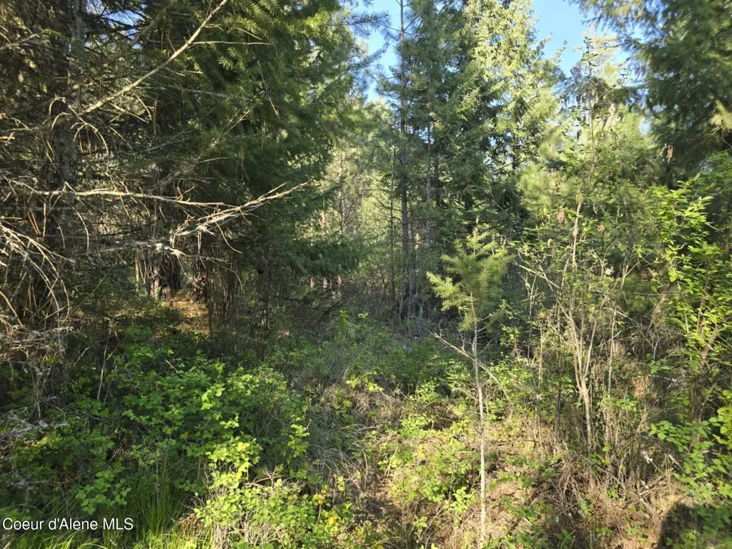 Nka Deer Road Harrison ID 83833