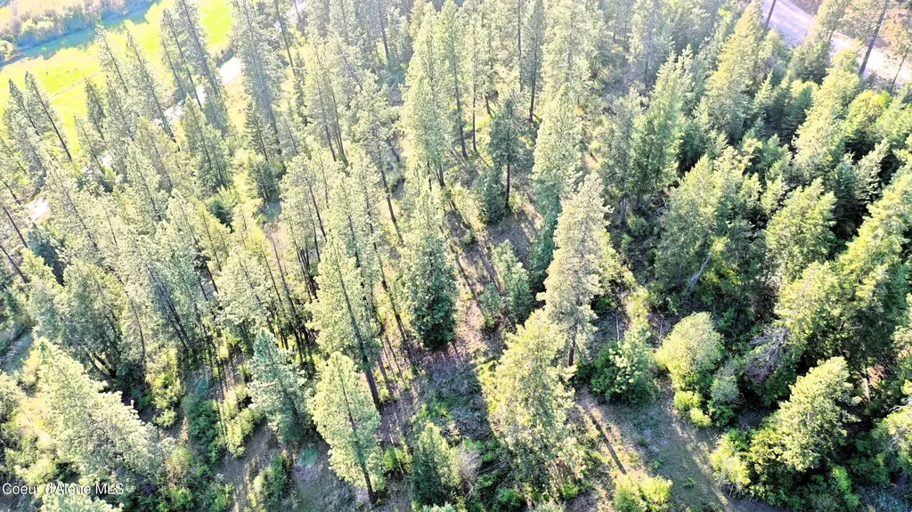 Nka Deer Road Harrison ID 83833
