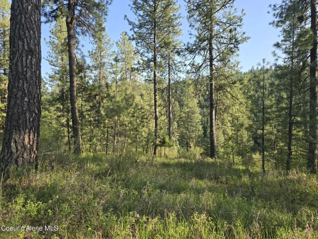Nka Deer Road Harrison ID 83833