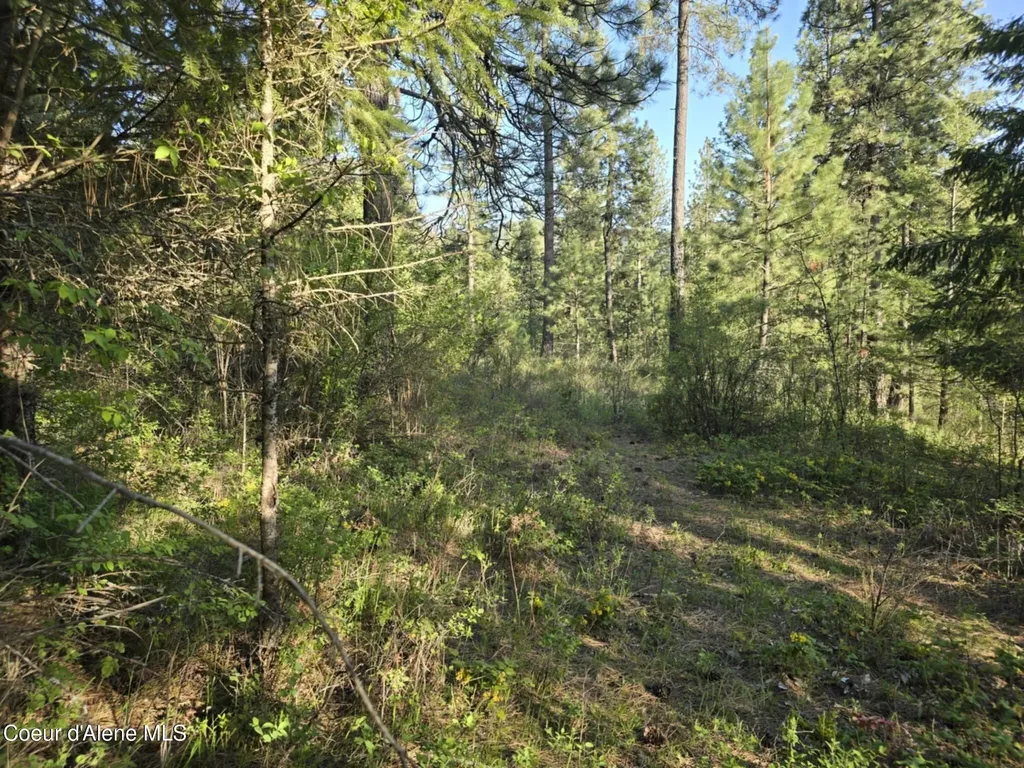 Nka Deer Road Harrison ID 83833