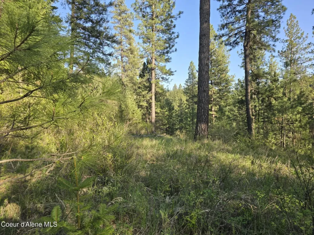 Nka Deer Road Harrison ID 83833