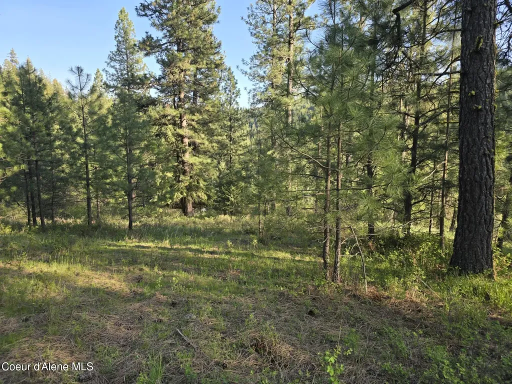 Nka Deer Road Harrison ID 83833