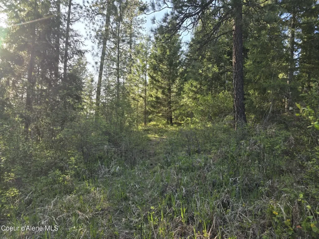 Nka Deer Road Harrison ID 83833
