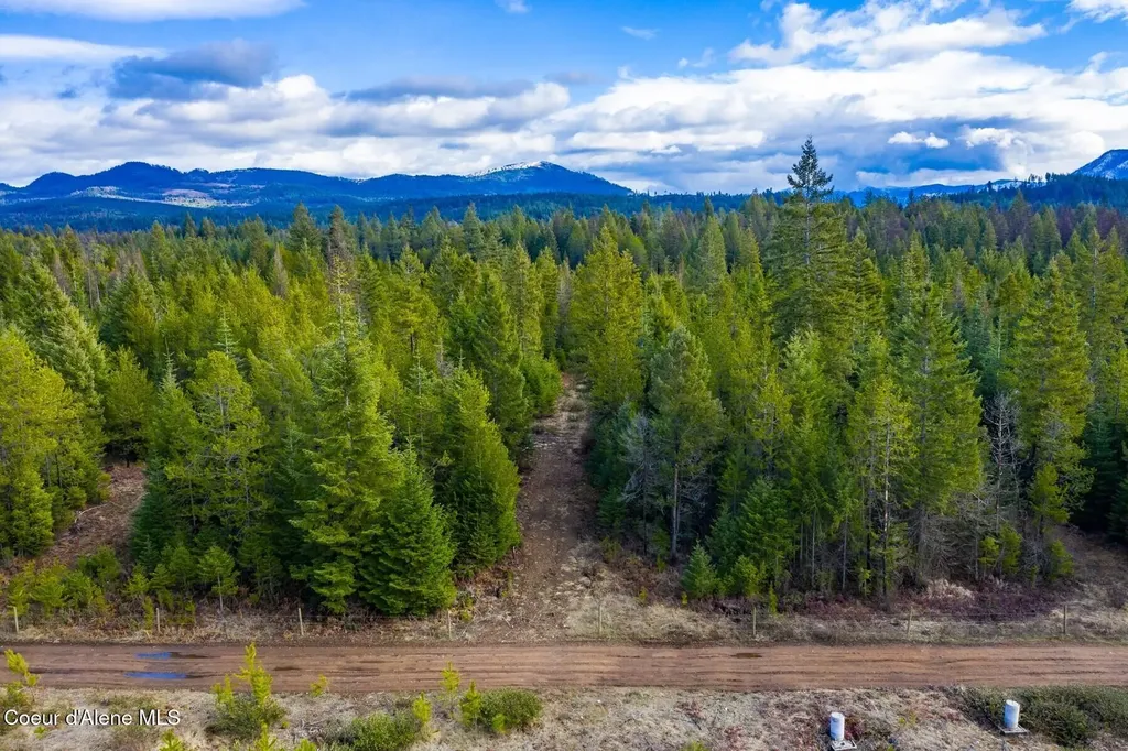 49 Zig Zag Way Athol ID 83801