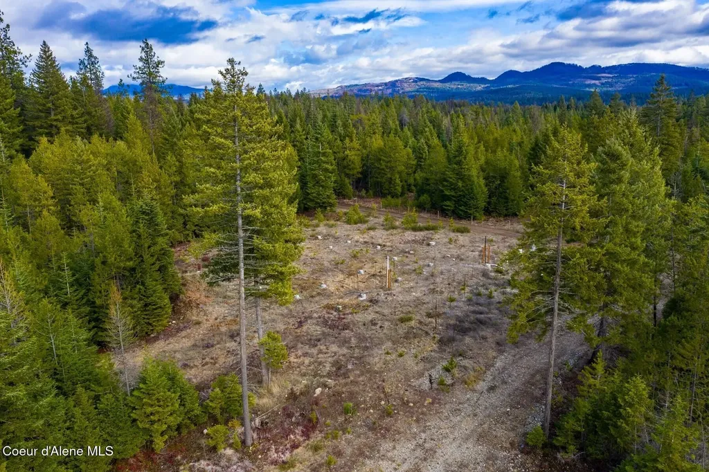 49 Zig Zag Way Athol ID 83801