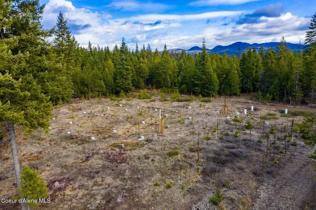 49 Zig Zag Way Athol ID 83801