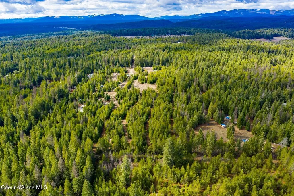 49 Zig Zag Way Athol ID 83801