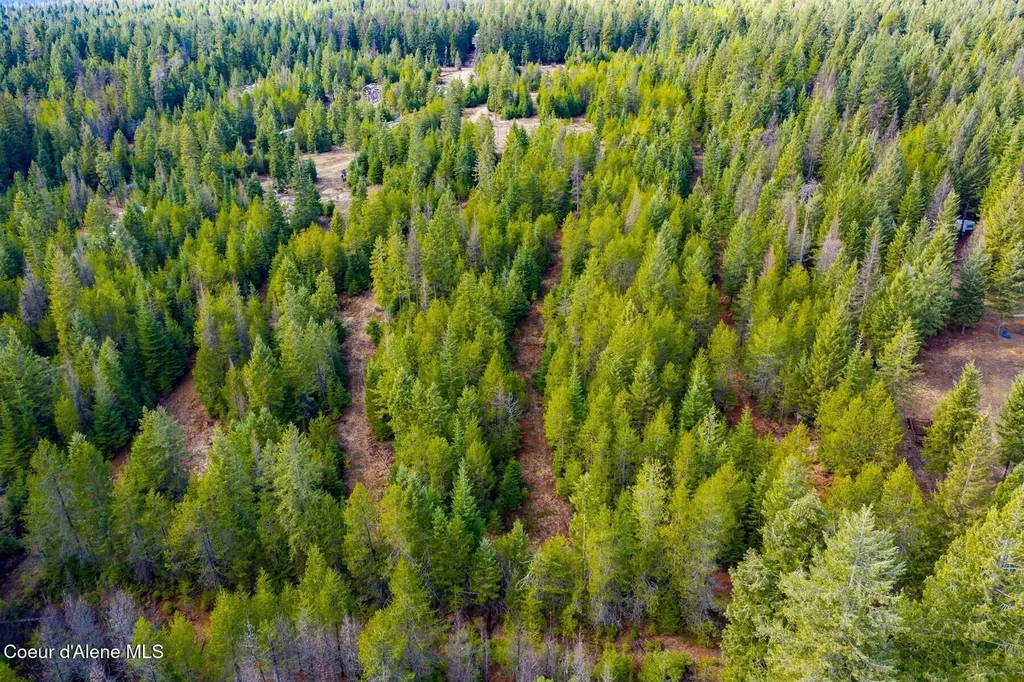 49 Zig Zag Way Athol ID 83801