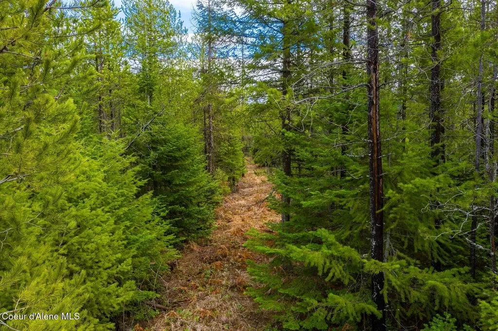 49 Zig Zag Way Athol ID 83801