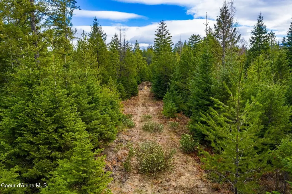 49 Zig Zag Way Athol ID 83801