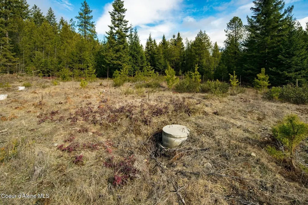 49 Zig Zag Way Athol ID 83801