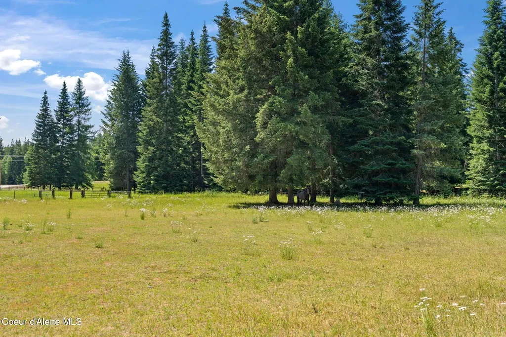 4719 Selle Road Sandpoint ID 83864