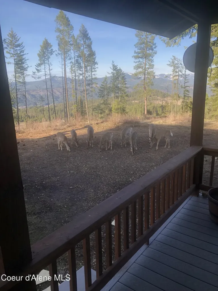 1600 Patches Lane St. Maries ID 83861