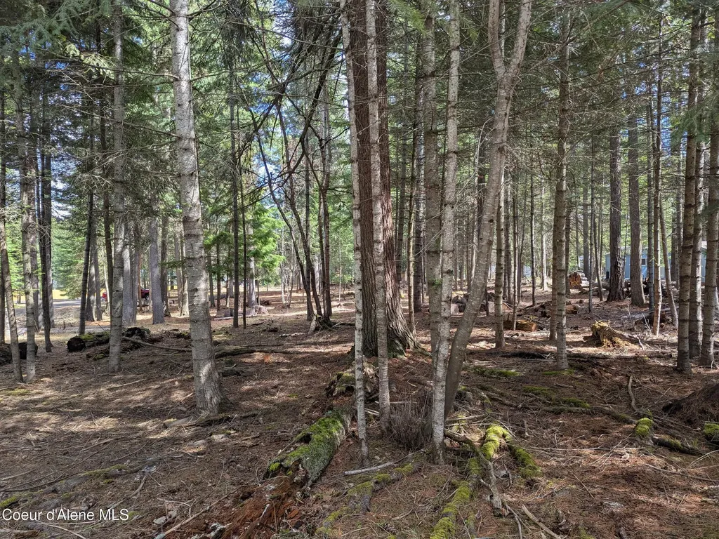 Nna W Florida Lot 4 Circle Worley ID 83876