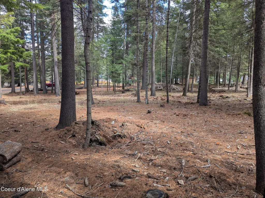 Nna W Florida Lot 4 Circle Worley ID 83876