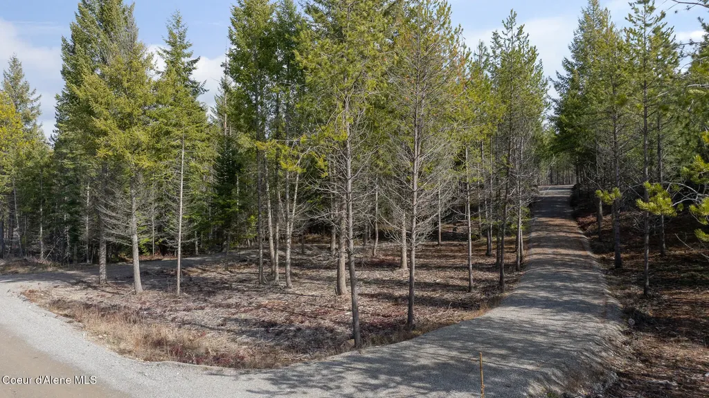 Nna Sawbuck Road Spirit Lake ID 83869