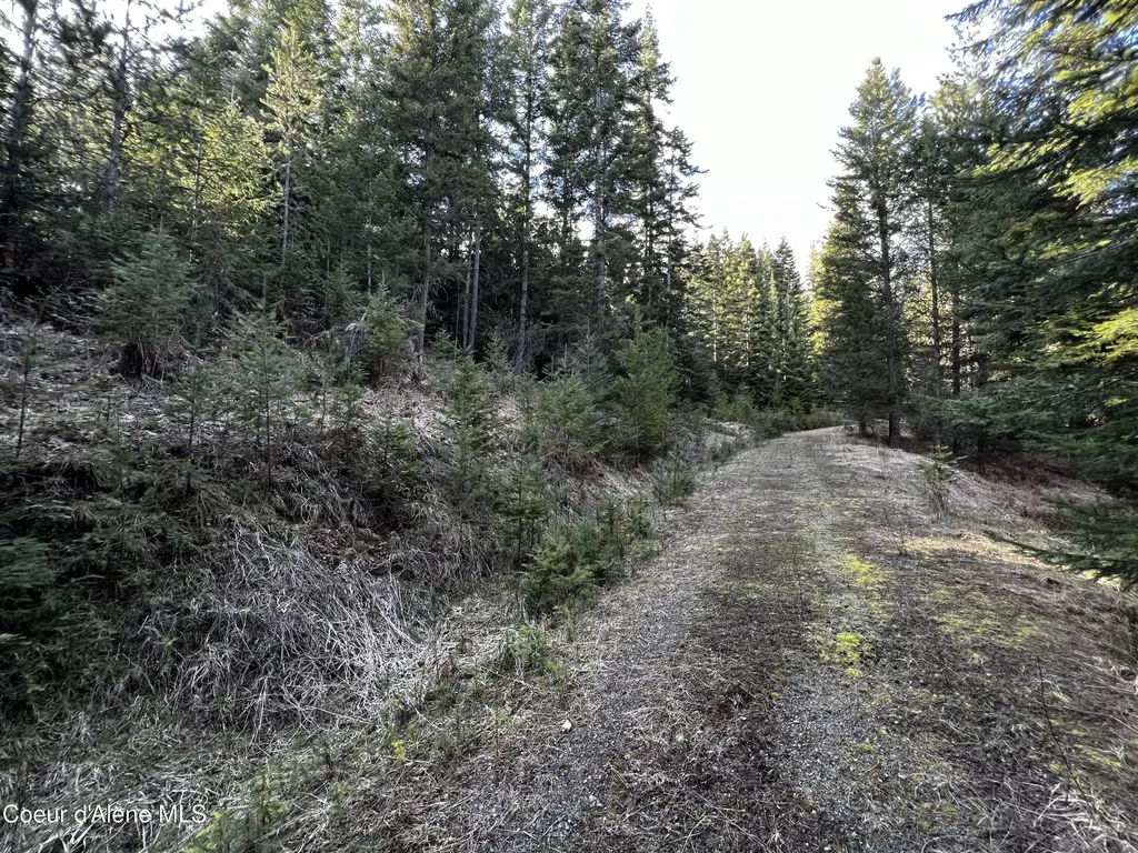 6.94 Ac Bear Creek Road Kingston ID 83839