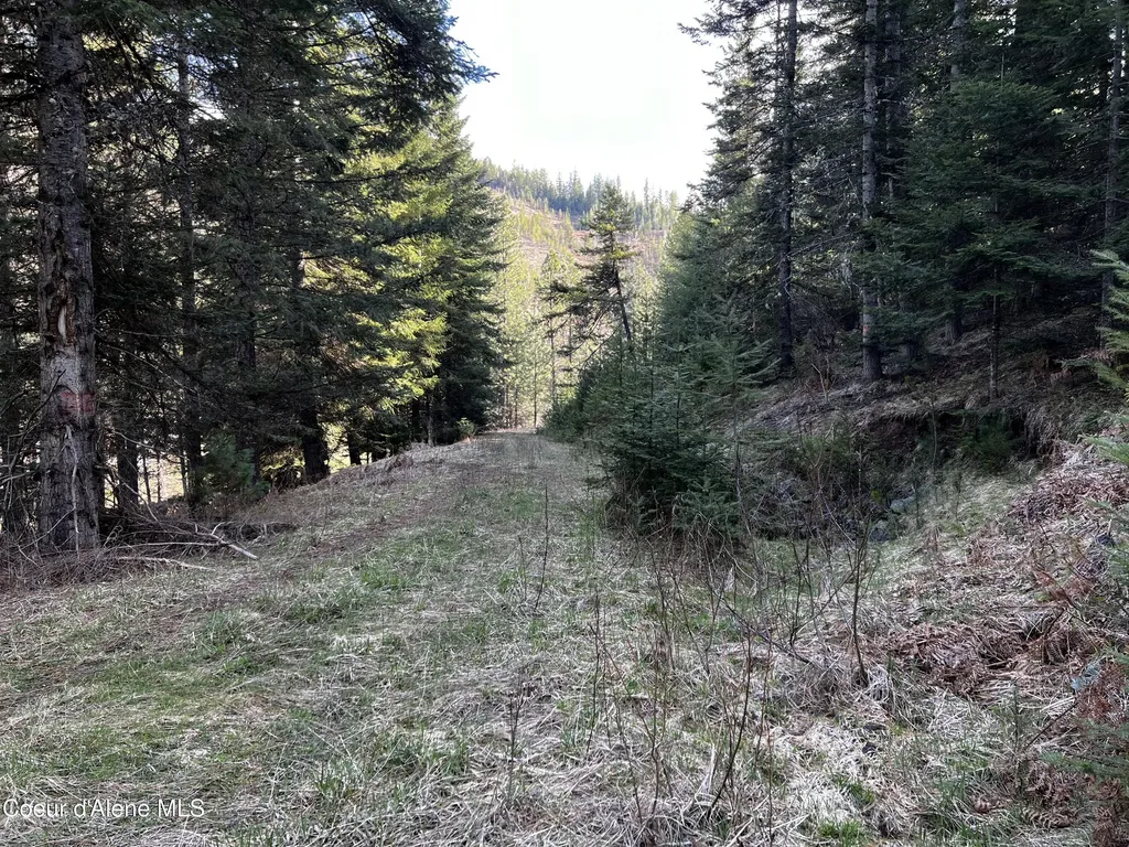 6.94 Ac Bear Creek Road Kingston ID 83839