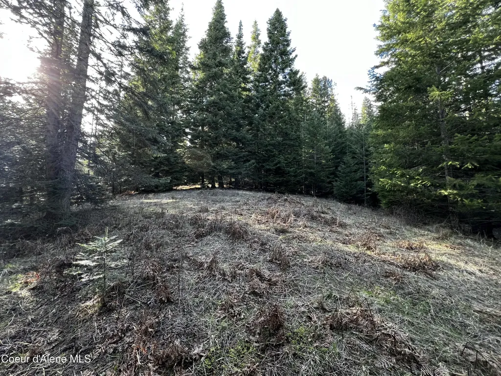 6.94 Ac Bear Creek Road Kingston ID 83839