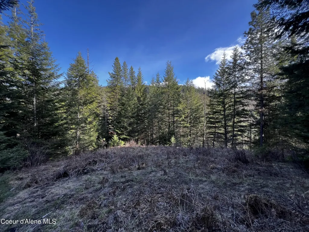 6.94 Ac Bear Creek Road Kingston ID 83839