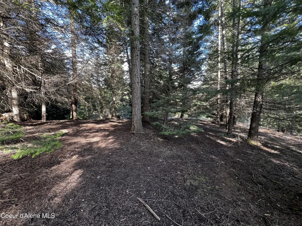 6.94 Ac Bear Creek Road Kingston ID 83839