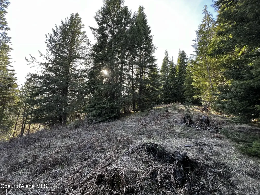 6.94 Ac Bear Creek Road Kingston ID 83839