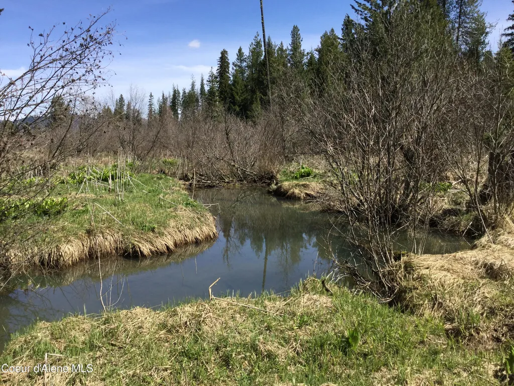 Tyson Creek Road Santa ID 83866