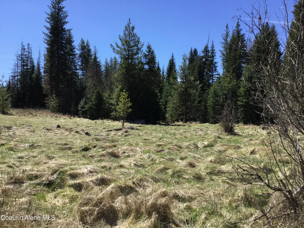 Tyson Creek Road Santa ID 83866