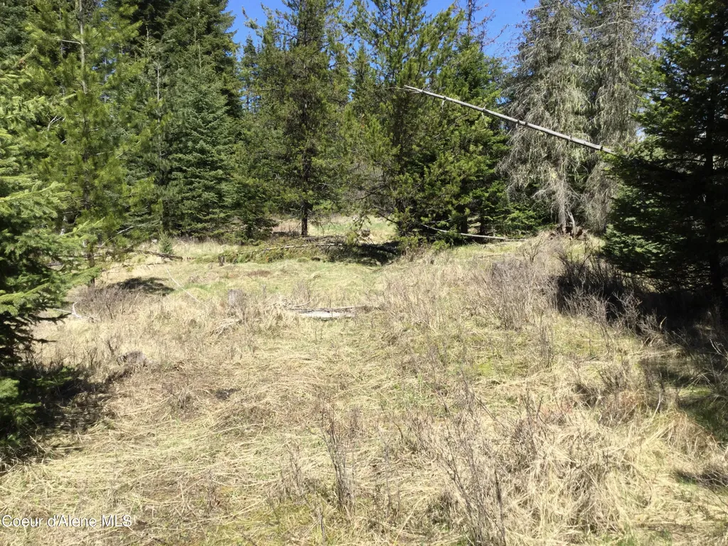 Tyson Creek Road Santa ID 83866