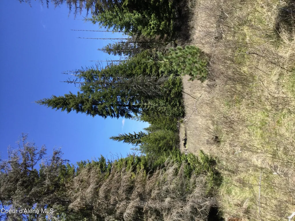 Tyson Creek Road Santa ID 83866