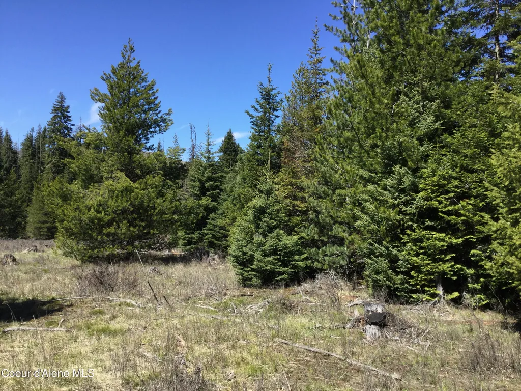Tyson Creek Road Santa ID 83866