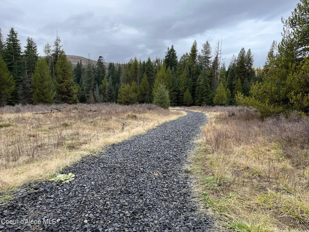 Tyson Creek Road Santa ID 83866