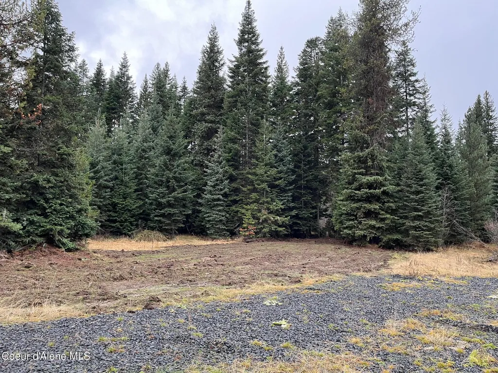 Tyson Creek Road Santa ID 83866