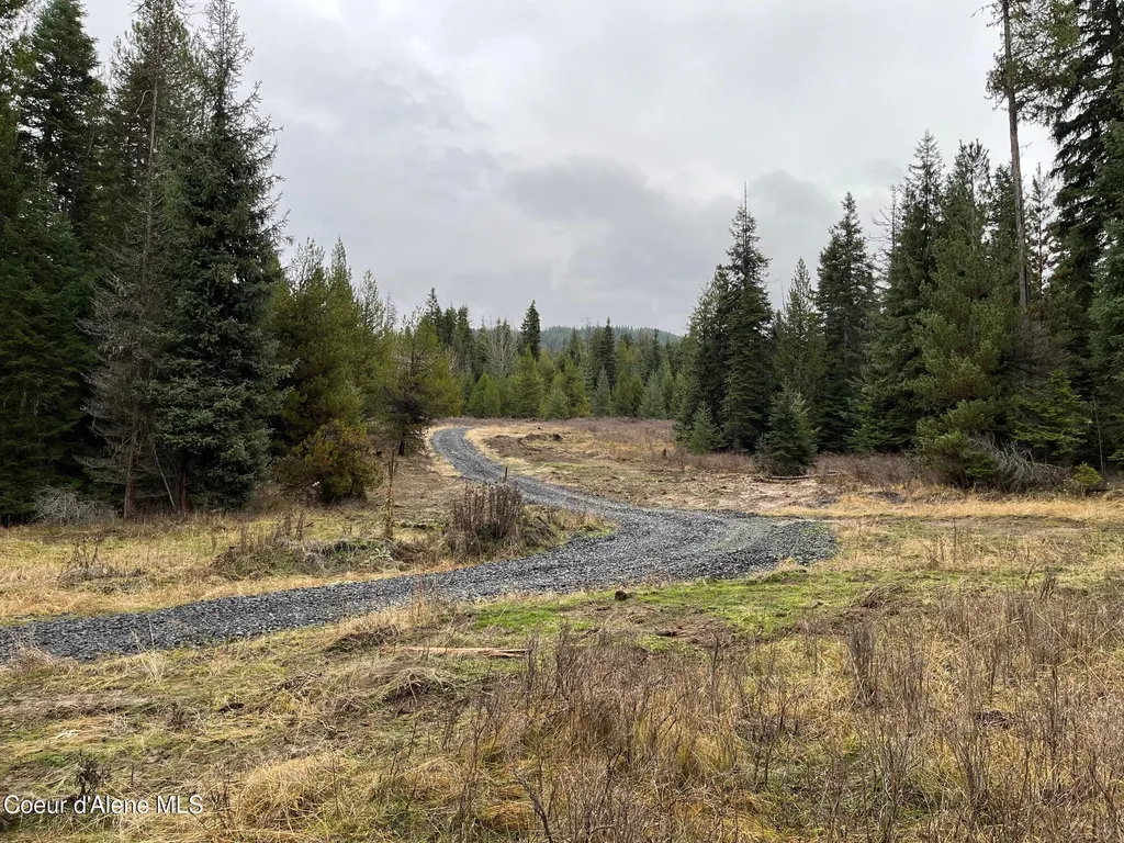 Tyson Creek Road Santa ID 83866